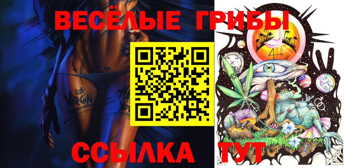 Галлюциногенные грибы Cubensis  Вход с VPN  Зеленокумск  Псилоцибиновые грибы Psilocybine cubensis 